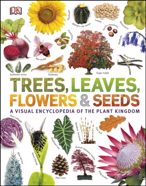 Our World in Pictures: Trees, Leaves, Flowers & Seeds