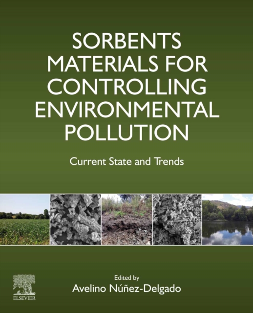 Sorbents Materials for Controlling Environmental Pollution