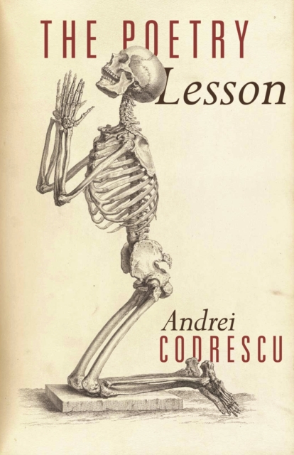 Poetry Lesson