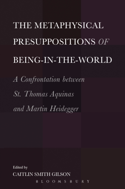 Metaphysical Presuppositions of Being-in-the-World