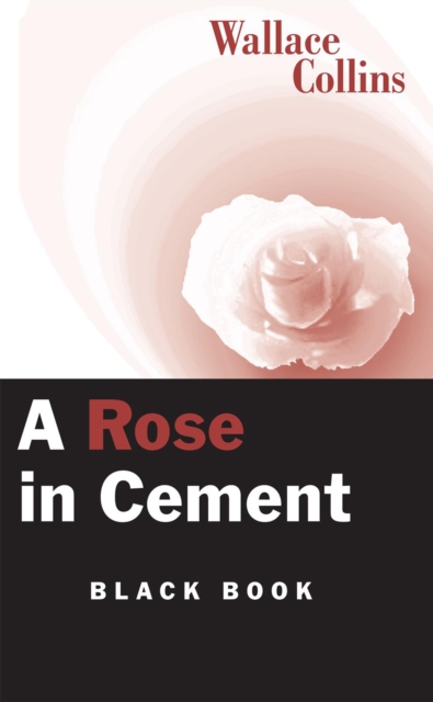 Rose in Cement