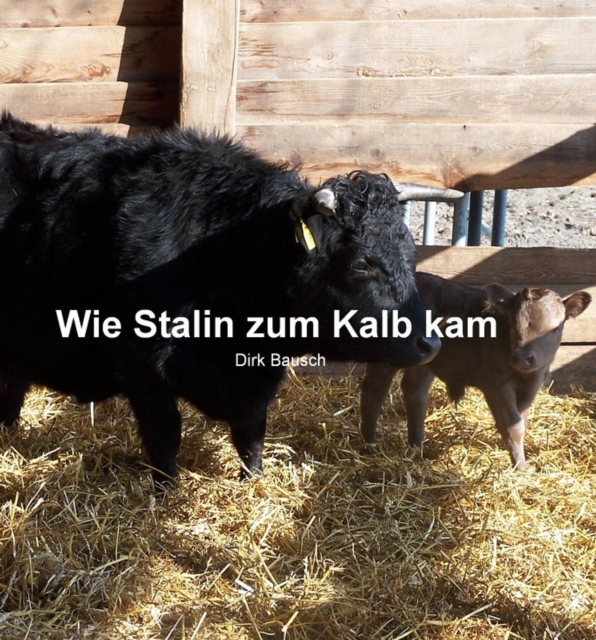 Miezi – Eine wahre Katzengeschichte Teil 2