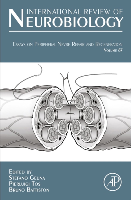 Essays on Peripheral Nerve Repair and Regeneration