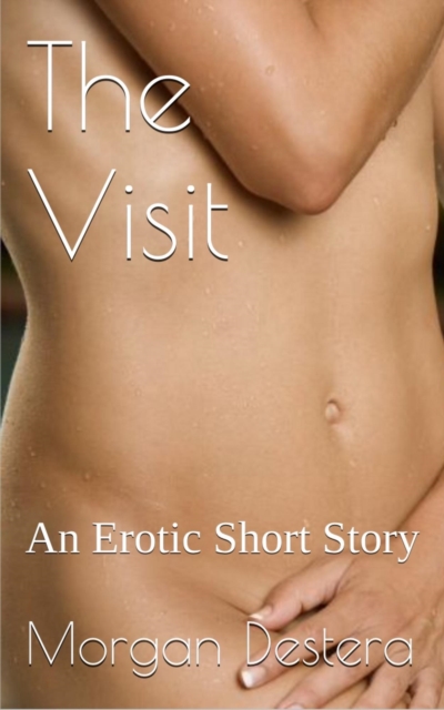 Visit - An Erotic Short Story