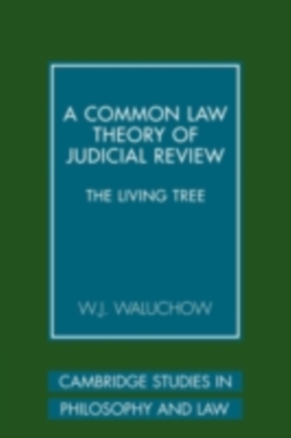 Common Law Theory of Judicial Review