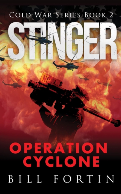 Stinger Operation Cyclone