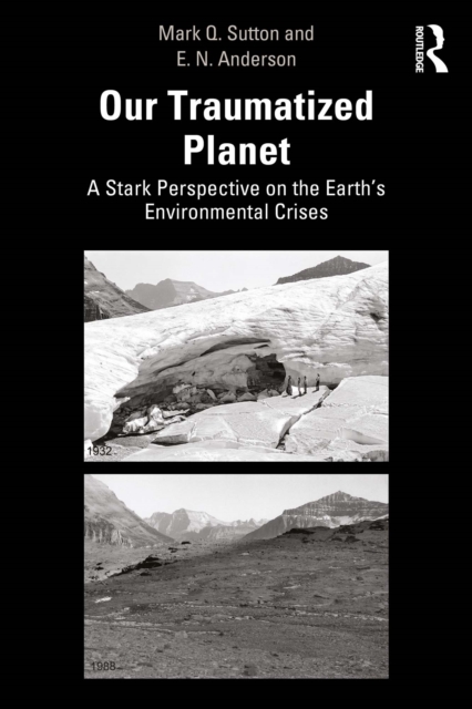 Our Traumatized Planet