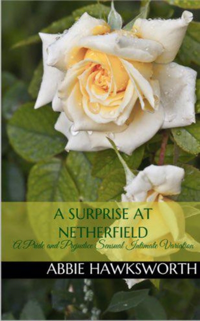 Surprise at Netherfield: A Pride and Prejudice Sensual Intimate Novella