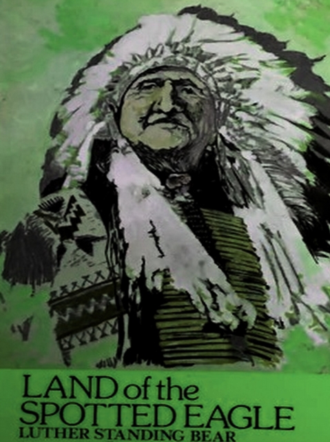 My People The Sioux