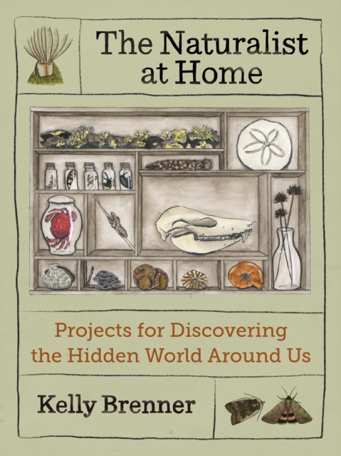 Naturalist at Home
