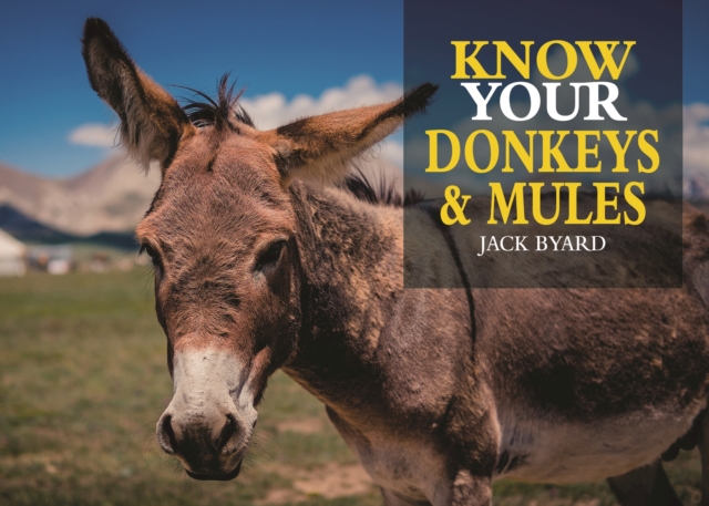 Know Your Donkeys & Mules