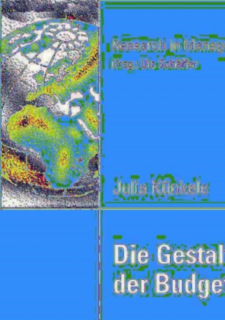 Die Gestaltung der Budgetkontrolle