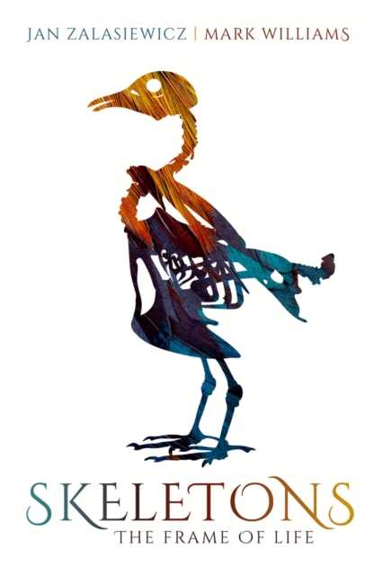 Skeletons