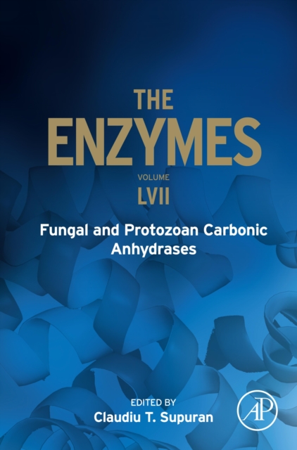 Fungal and Protozoan Carbonic Anhydrases