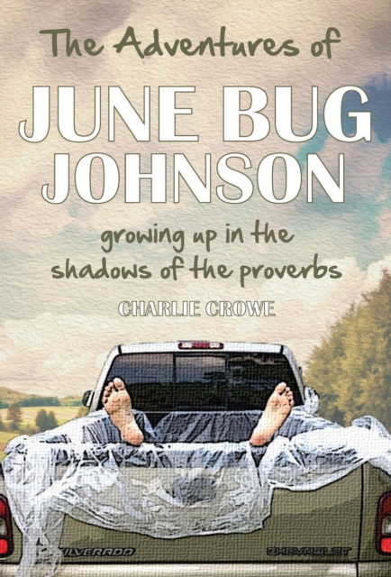 Adventures of June Bug Johnson: Growing Up in the Shadows of the Proverbs