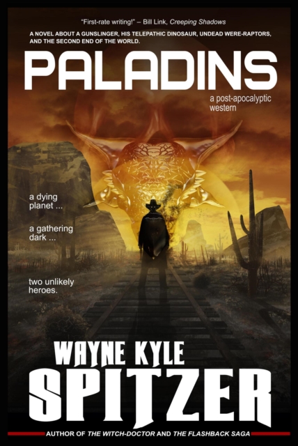 Paladins: A Post-apocalyptic Western