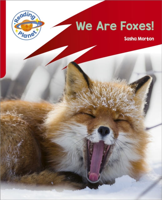 Reading Planet: Rocket Phonics Target Practice - We Are Foxes - Red A
