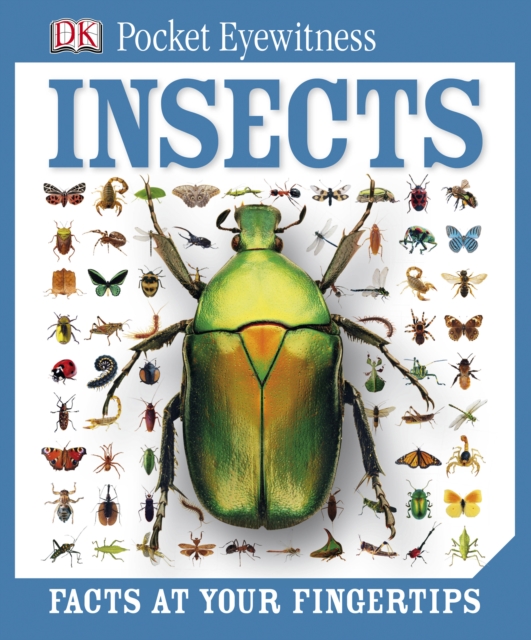 DK Pocket Eyewitness Insects