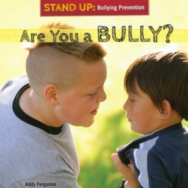 Are You a Bully?