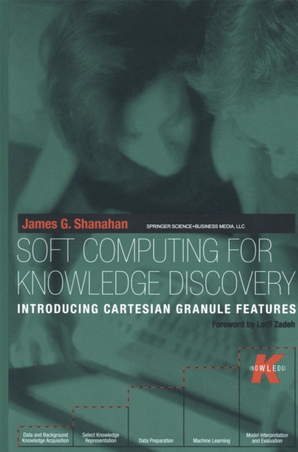 Soft Computing for Knowledge Discovery