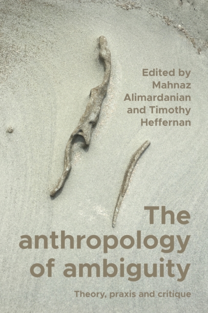 anthropology of ambiguity