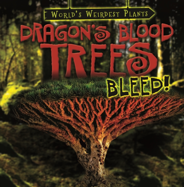 Dragon's Blood Trees Bleed!