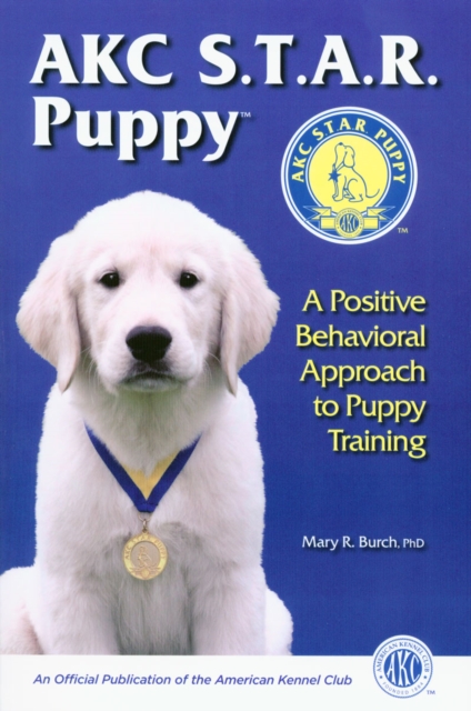 AKC STAR PUPPY
