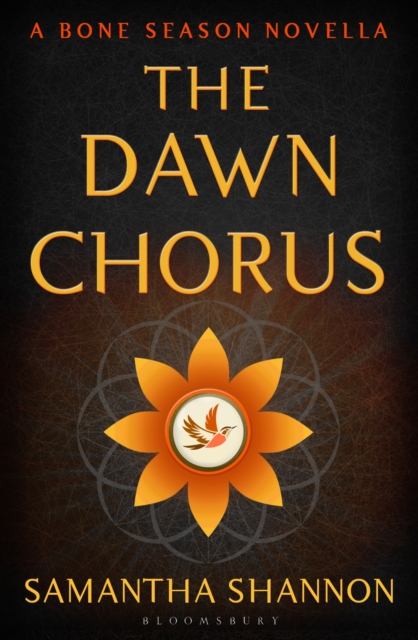 Dawn Chorus
