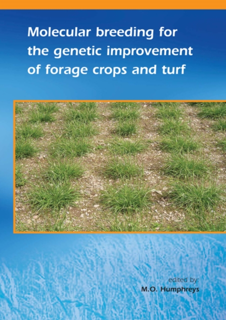 Molecular breeding for the genetic improvement of forage crops and turf