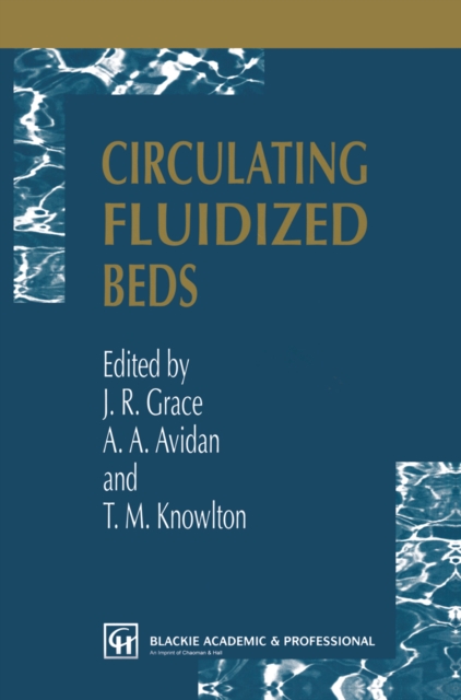 Circulating Fluidized Beds