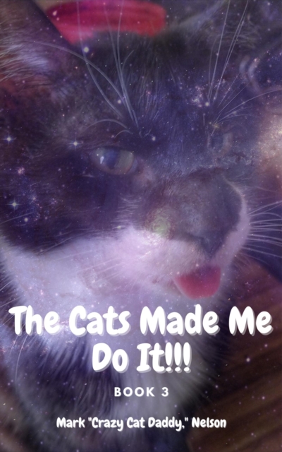 Cats Made Me Do It!!!