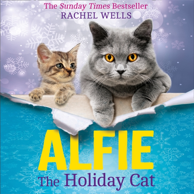Alfie the Holiday Cat