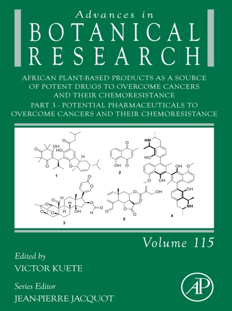 African Plant-Based Products as a Source of Potent Drugs to Overcome Cancers and their Chemoresistance