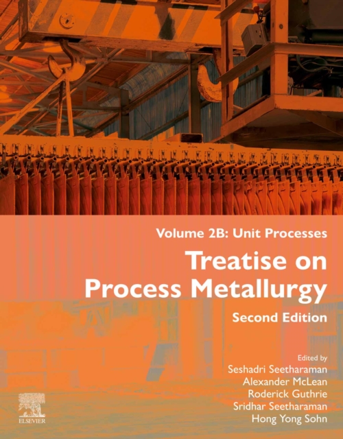 Treatise on Process Metallurgy, Volume 2B