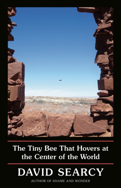 Tiny Bee That Hovers at the Center of the World