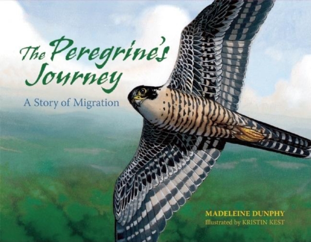 Peregrine's Journey