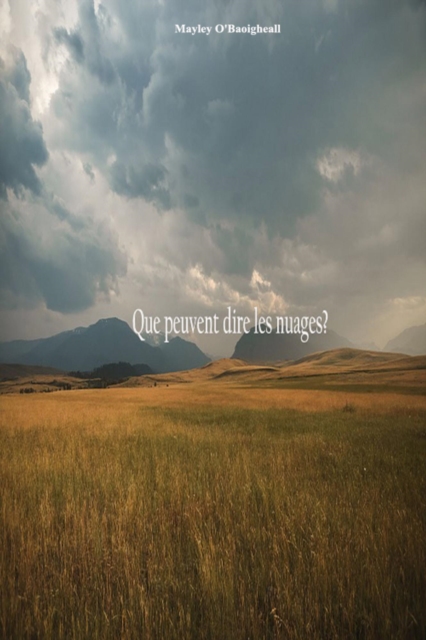 Que peuvent dire les nuages?