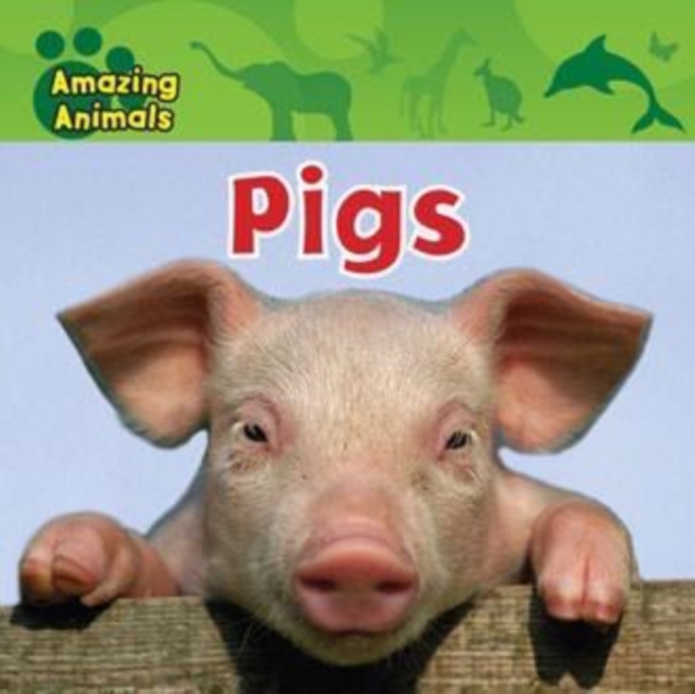 Pigs
