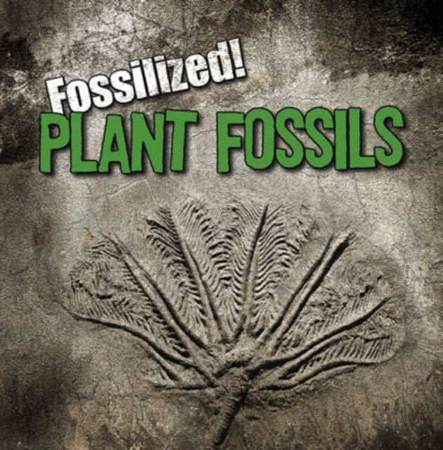 Plant Fossils