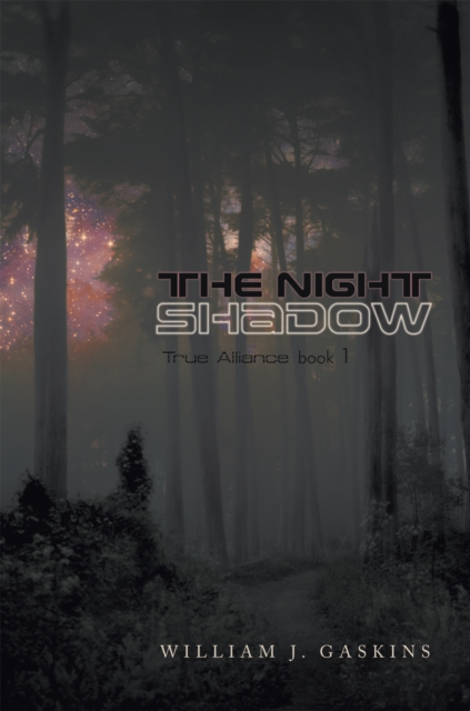 Night Shadow