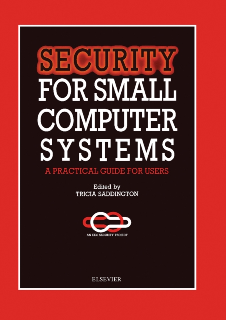 Security for Small Computer Systems