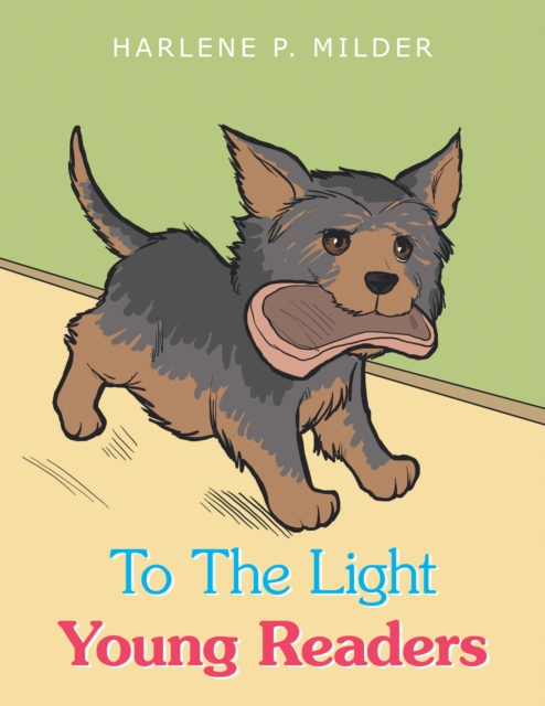 Little Handbook for Volunteers