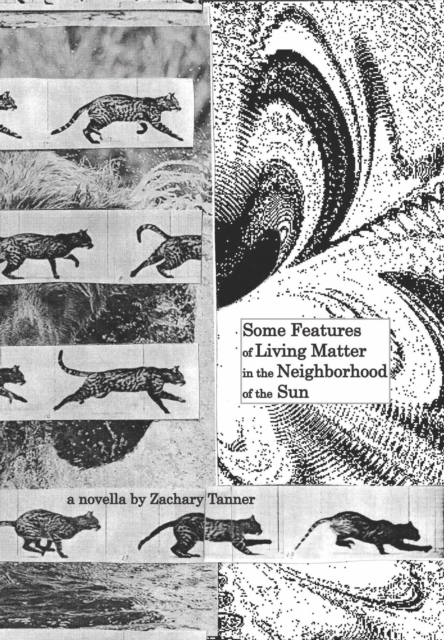 Some Features of Living Matter in the Neighborhood of the Sun