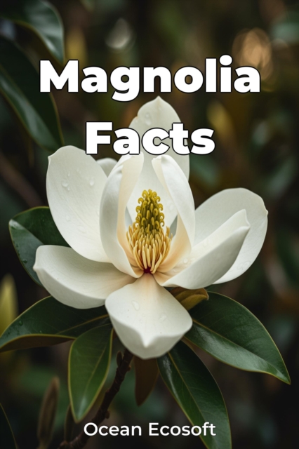 Magnolia Facts