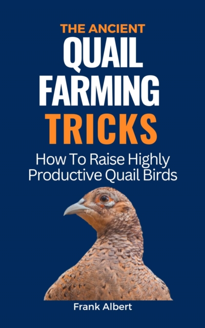 Ancient Quail Farming Tricks: How To Raise Highly Productive Quail Birds