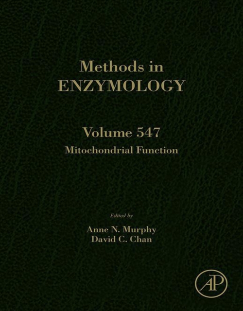 Computational Methods for Understanding Riboswitches