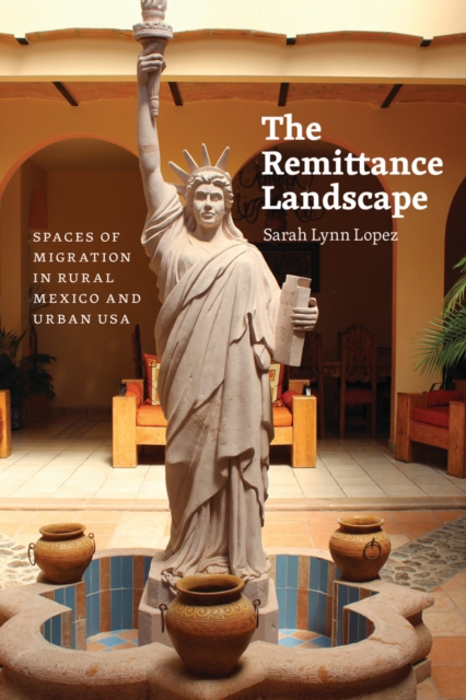 Remittance Landscape