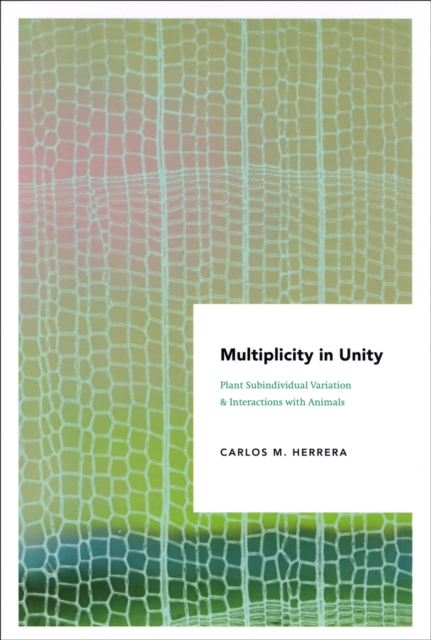 Multiplicity in Unity