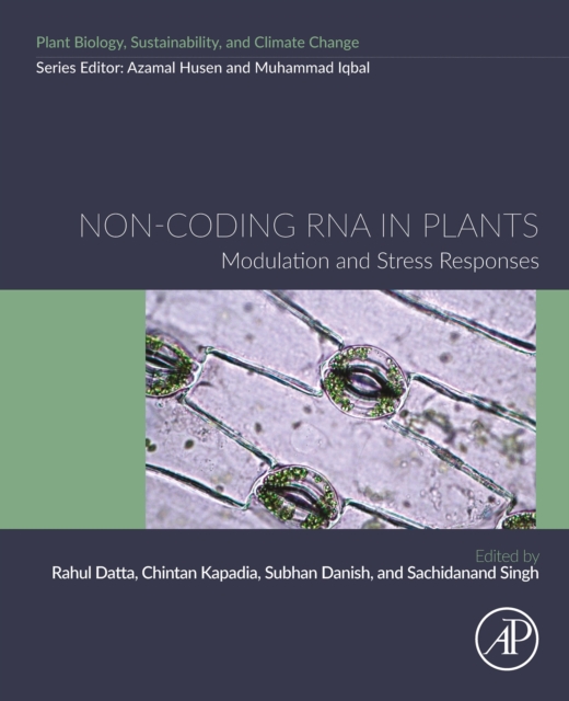 Non-coding RNA in Plants