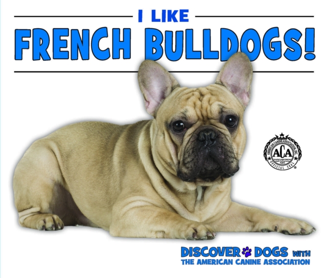 I Like French Bulldogs!